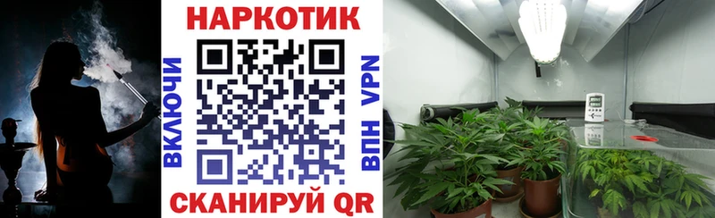 Канабис Краснообск