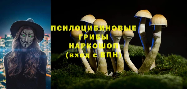 mix Арсеньев
