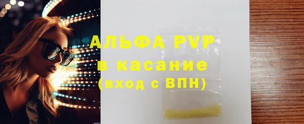 прущие грибы Аркадак