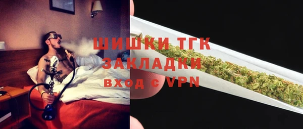 прущие грибы Аркадак