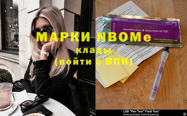 прущие грибы Аркадак