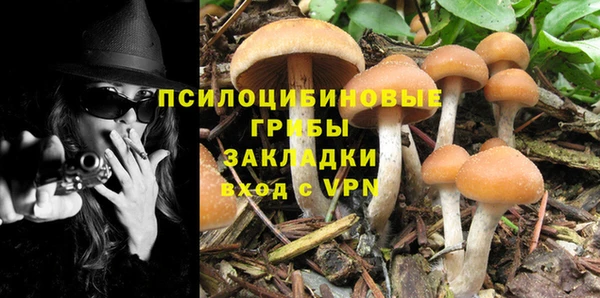 mix Арсеньев