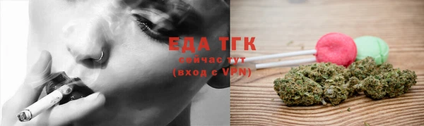 прущие грибы Аркадак