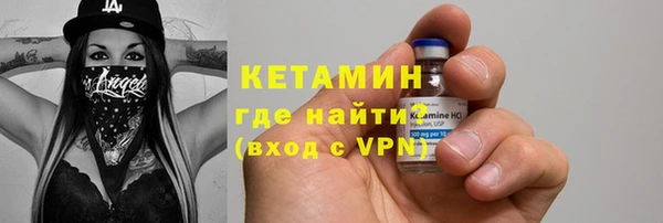 прущие грибы Аркадак