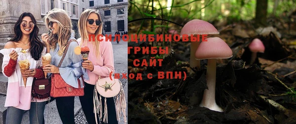 гидра Алзамай