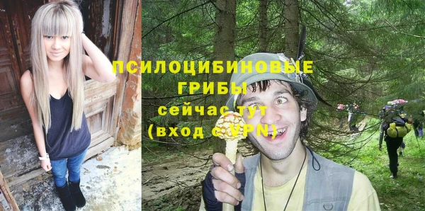 прущие грибы Аркадак