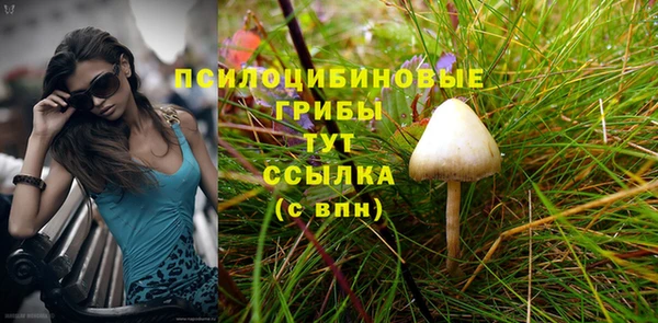 прущие грибы Аркадак