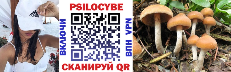 Галлюциногенные грибы Cubensis  Краснообск 