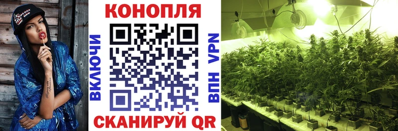 Марихуана SATIVA & INDICA  мега tor  Краснообск 